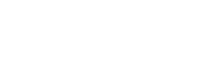 IDNTY ai consult